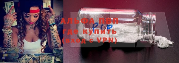 стаф Абинск