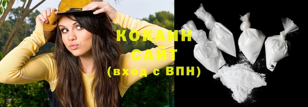 стаф Абинск