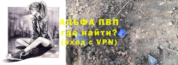 стаф Абинск
