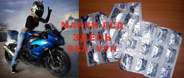 стаф Абинск