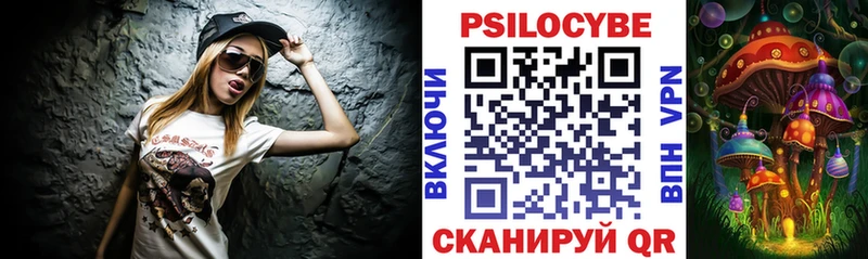 OMG ссылки  как найти   Ханты-Мансийск  Галлюциногенные грибы Psilocybe 